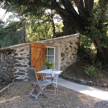La Petite Bergerie, Les Hautes Roches Collobrières Eksteriør billede