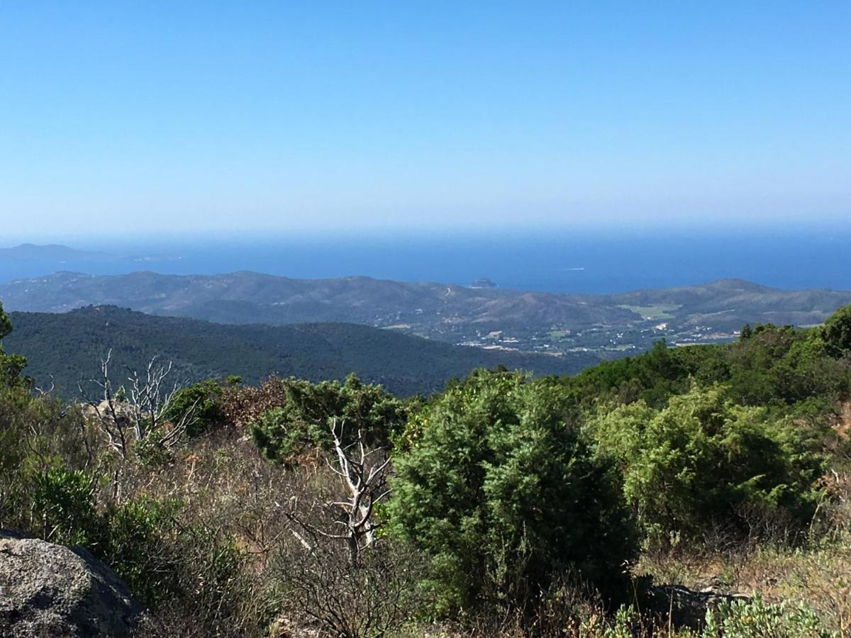 La Petite Bergerie, Les Hautes Roches Collobrières Eksteriør billede